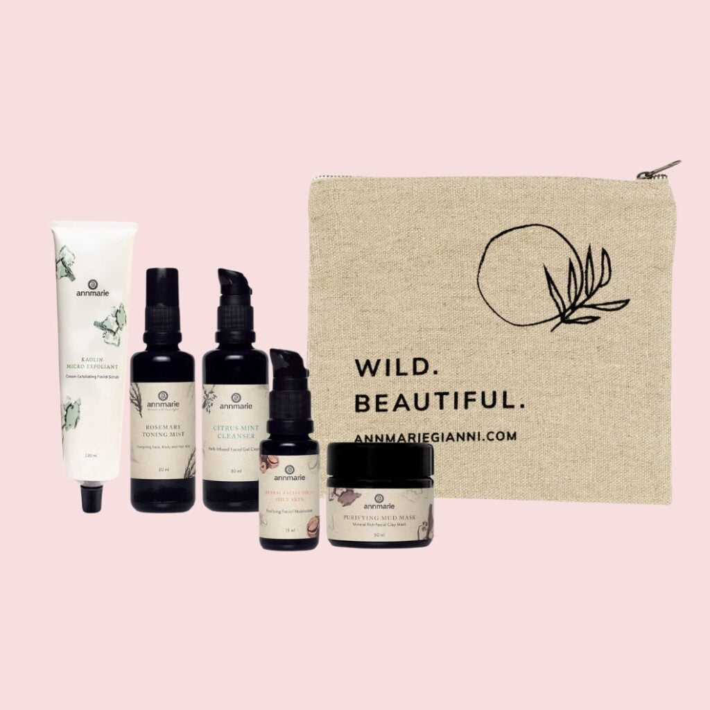 AnnMarie Skincare PURIFY GIFT SET