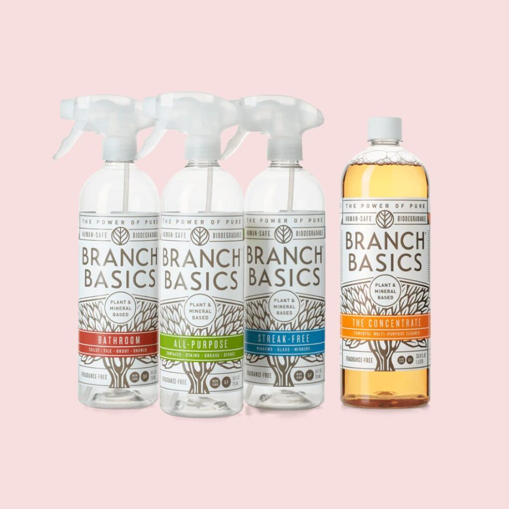 Cleaning Essentials Kit